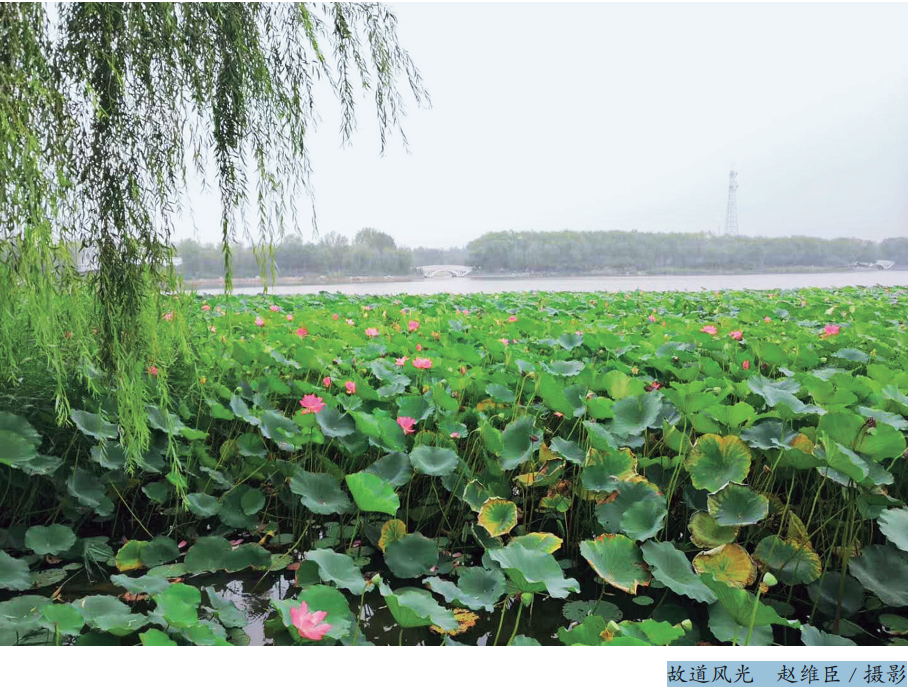 故道风光 赵维臣 摄影.png